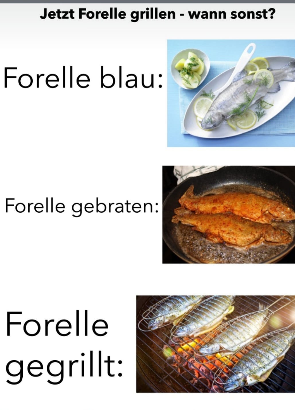 Forelle blau